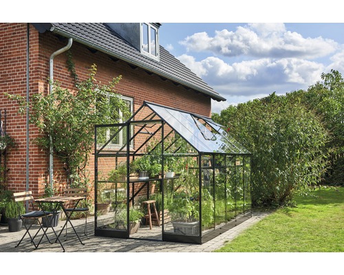 Serre de jardin en verre et métal avec plantes