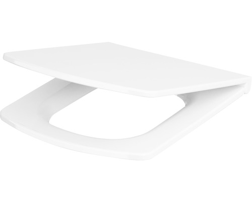 Toilettendeckel aus Kunststoff