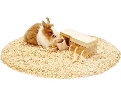 Lapin sur copeaux de bois avec cabane en bois et râtelier à foin