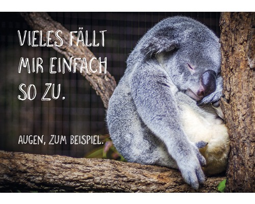 Postkarte Vieles fällt mir einfach so zu. Augen, zum Beispiel. 14,8x10,5 cm Schlafender Koala auf einem Baum mit Text: Vieles fällt mir einfach so zu. Augen, zum Beispiel.