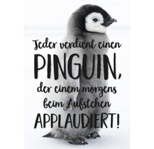 Postkarte Jeder verdient einen Pinguin, der einem morgens beim aufstehen applaudiert! 10,5x14,8 cm