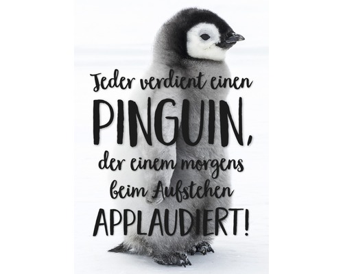 Postkarte Jeder verdient einen Pinguin, der einem morgens beim aufstehen applaudiert! 10,5x14,8 cm Postkarte Jeder verdient einen Pinguin, der einem morgens beim aufstehen applaudiert! 10,5x14,8 cm