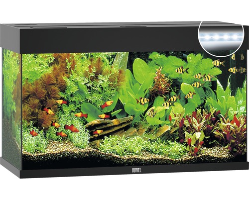 Aquarium Juwel Rio 125 LED ohne Unterschrank schwarz