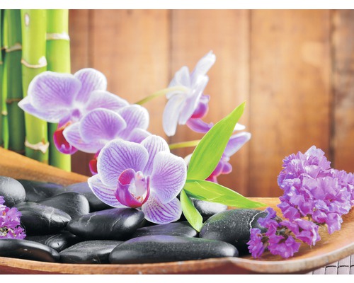 Papier peint panoramique intissé Zen Orchidée 250 x 104 cm