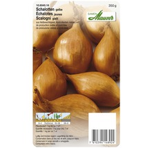 Schalotten gelbe Sorte, 350 Gramm Packung