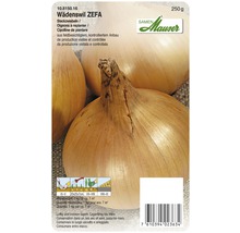 Steckzwiebeln Wädenswil Zefa, 250 Gramm, Saatgut