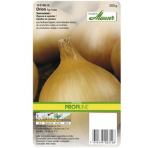 Zwiebel-Setzlinge Orion Typ Turbo, 350 Gramm