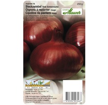 Rote Steckzwiebel, 250 Gramm