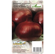 Rote Steckzwiebeln, heimische Sorte, 500 Gramm