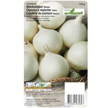 Weisse Steckzwiebel, 250 Gramm