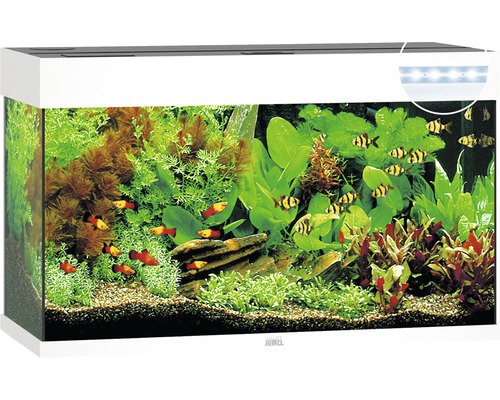 Aquarium Juwel Rio 125 LED ohne Unterschrank weiss
