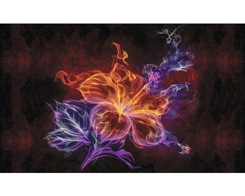 Papier peint photo intissé Fleur de feu 416 x 254 cm