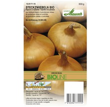 Steckzwiebeln Bio Packung