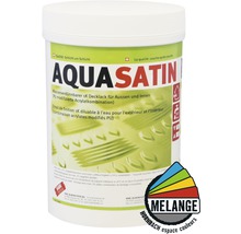 Peinture de finition Aqua Satin pour l''intérieur et l''extérieur