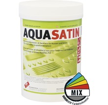 Laque Aqua Satin pour intérieur et extérieur