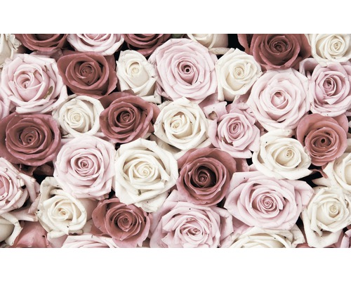 Papier peint panoramique Roses rose 368 x 254 cm