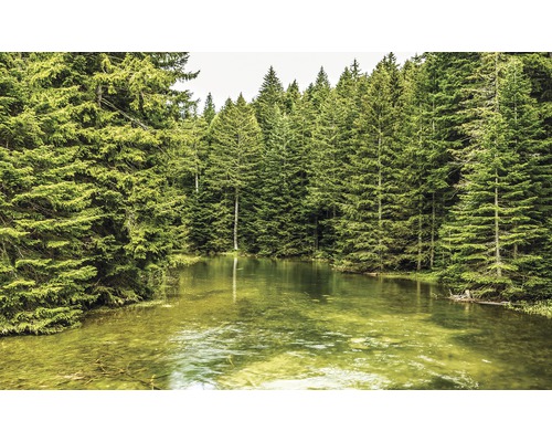 Papier peint panoramique intissé lac forestier 312x219 cm