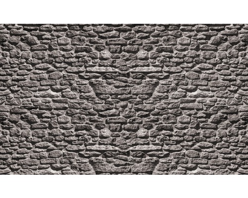 Papier peint panoramique intissé mur de pierre gris 312x219 cm