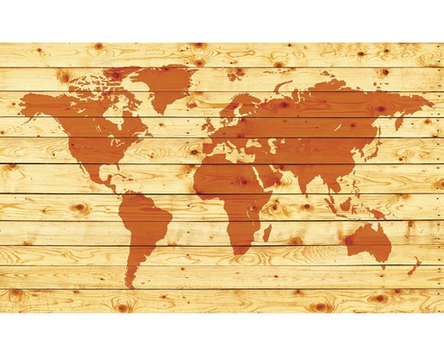 Fototapete Papier Weltkarte auf Holz 254x184 cm