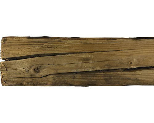 Holzbrett mit Ast