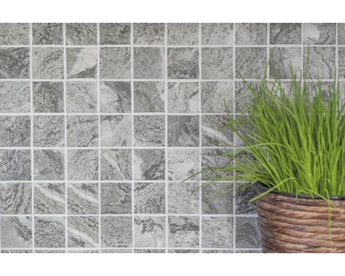 Carreaux de mosaïque gris aspect marbre et plante en pot