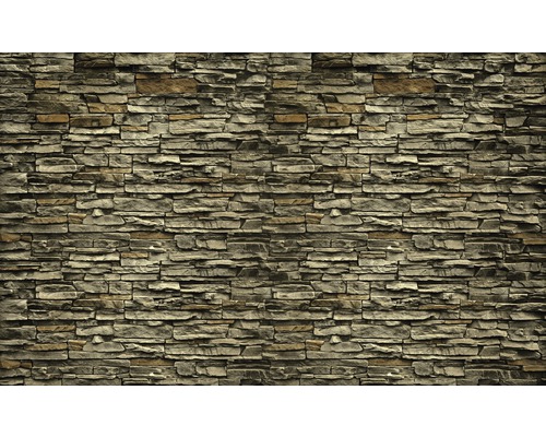 Papier peint panoramique intissé mur de pierre brun 312x219 cm