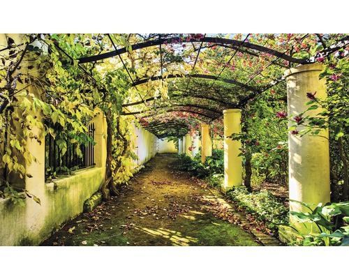 Papier peint panoramique intissé jardin pergola 312x219 cm