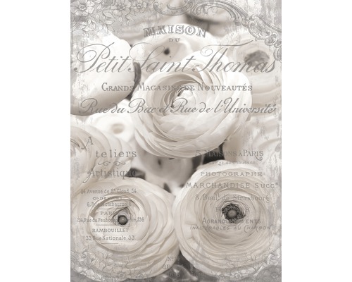 Papier peint panoramique intissé 2424 VEA renoncules blanches 2 pces 206 x 275 cm Motif floral décoratif avec lettrage français pour la décoration murale