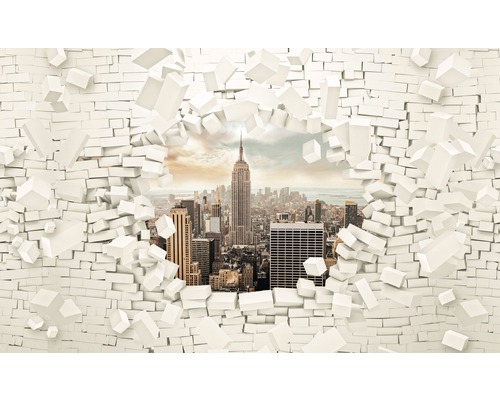 Papier peint panoramique papier New York 254x184 cm