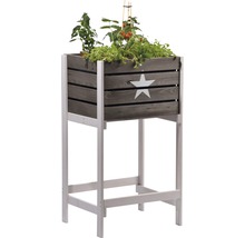 Hochbeet aus Holz mit Sternmuster und Pflanzen