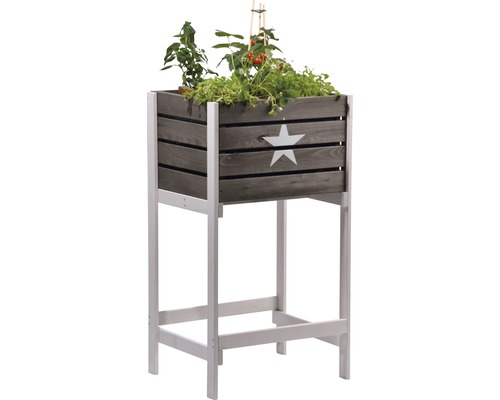 Hochbeet aus Holz mit Sternmuster und Pflanzen