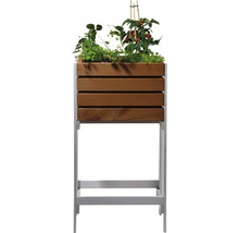 Hochbeet auf Stelzen Obstkiste 49x42x90.5 cm braun lasiert