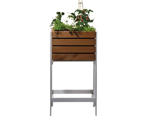 Hochbeet aus Holz und Metall mit Bepflanzung