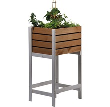 Hochbeet auf Stelzen Obstkiste 49x42x90.5 cm braun lasiert