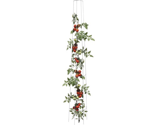 Treillis pour plantes tomates rond 175 x 28 cm