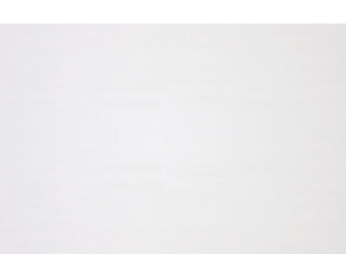 Einfarbiger Hintergrund.