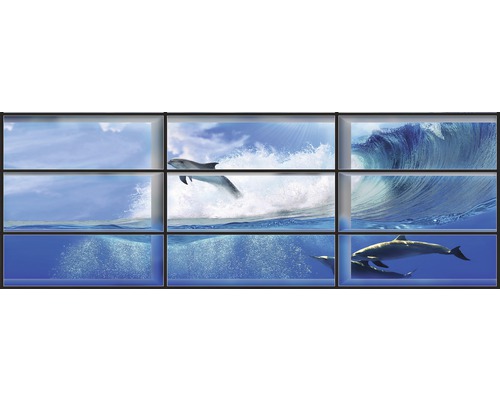 Papier peint photo intissé dauphins 624 x 219 cm