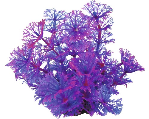 ORBIT Kunststoff-Wasserpflanze Deluxe Small Nr. 14 12 cm Dekorative Aquariumpflanze aus Kunststoff