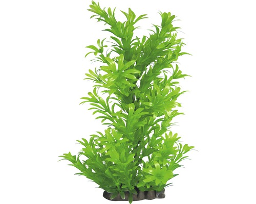 ORBIT Kunststoff-Wasserpflanze Deluxe Medium Nr. 16 17 cm Grüne Kunststoffpflanze für Aquarien