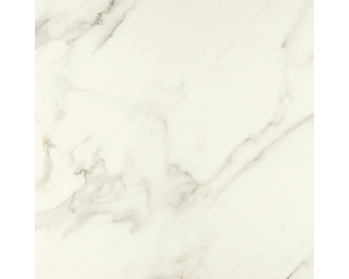 Bodenfliese Premium Marble Calacatta 80x80 cm