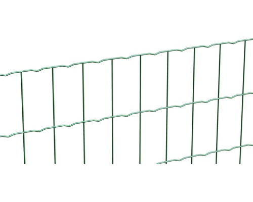 Vue détaillée d''une clôture en treillis double fil