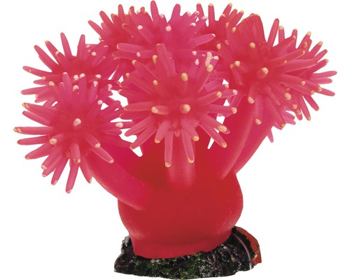 Aquariumdekoration Smiling Coral pink 9 cm