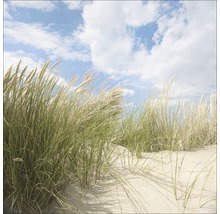 Photo sous verre Journée d'été I 30x30 cm