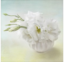 Photo sous verre Sweet Peony I 30x30 cm