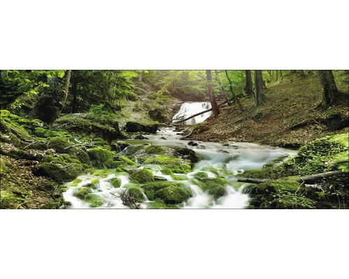 Eine malerische Waldlandschaft mit einem Wasserfall und moosbedeckten Steinen.