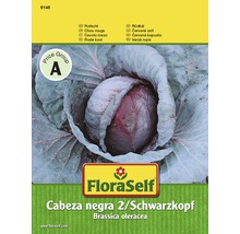 Samenpackung Rotkohl Sorte Schwarzkopf 2 von FloraSelf