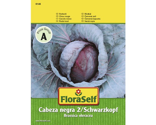 Chou rouge 'Cabeza Negra 2 / Tête noire' FloraSelf semences stables semences de légumes