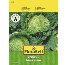 FloraSelf Chou de Milan Vertus 2 Brassica oleracea Sachet de graines