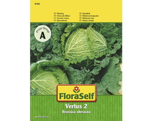 Chou de Milan 'Vertus 2' FloraSelf semences stables semences de légumes