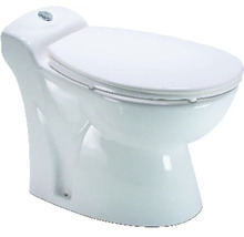 Sanisan 5 Stand-WC mit integrierter Kleinhebeanlage weiss-thumb-0